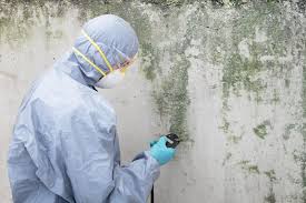 Best Commercial Mold Inspection in Kotlik, AK